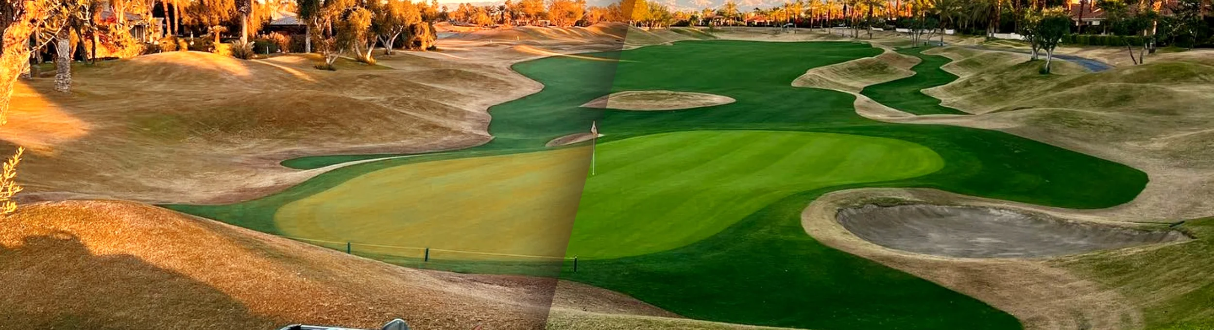 Guide to grass paint: Transform your lawn without irrigation.