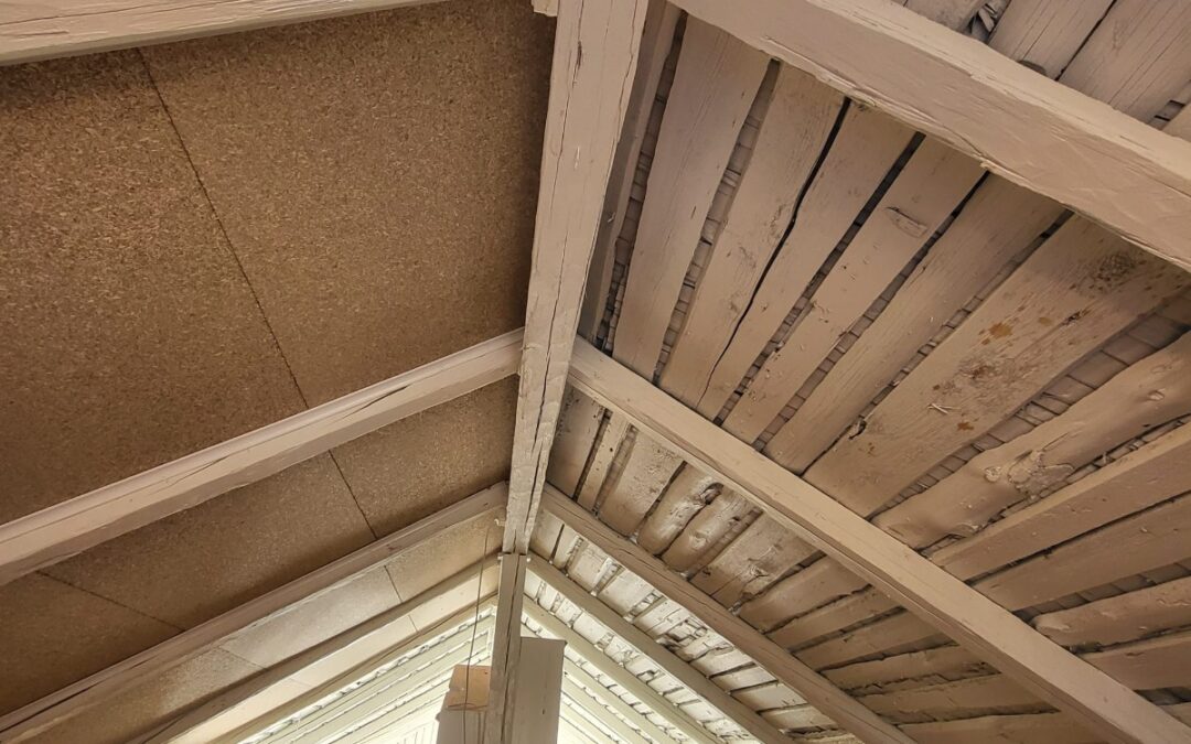 Beyond Drywall: The Future of Healthy European Homes