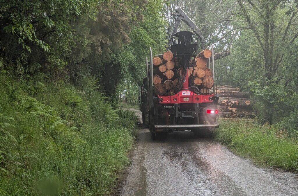How to Legally Keep a Forest Natural in Spain (Without Fines)
